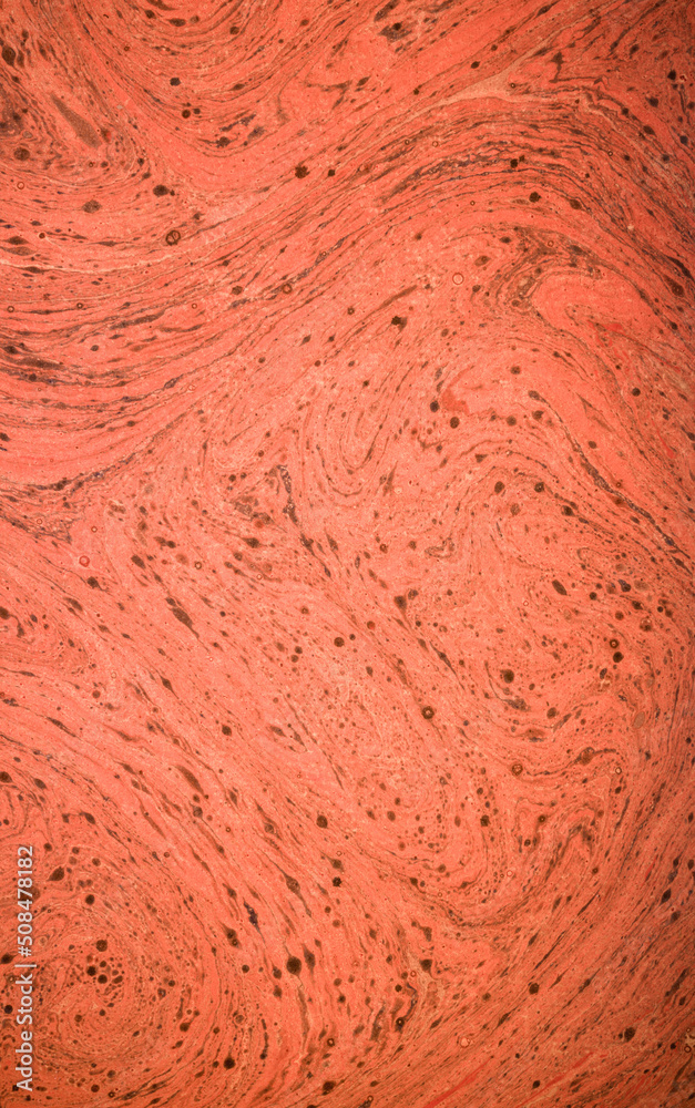 Fototapeta premium abstract orange background