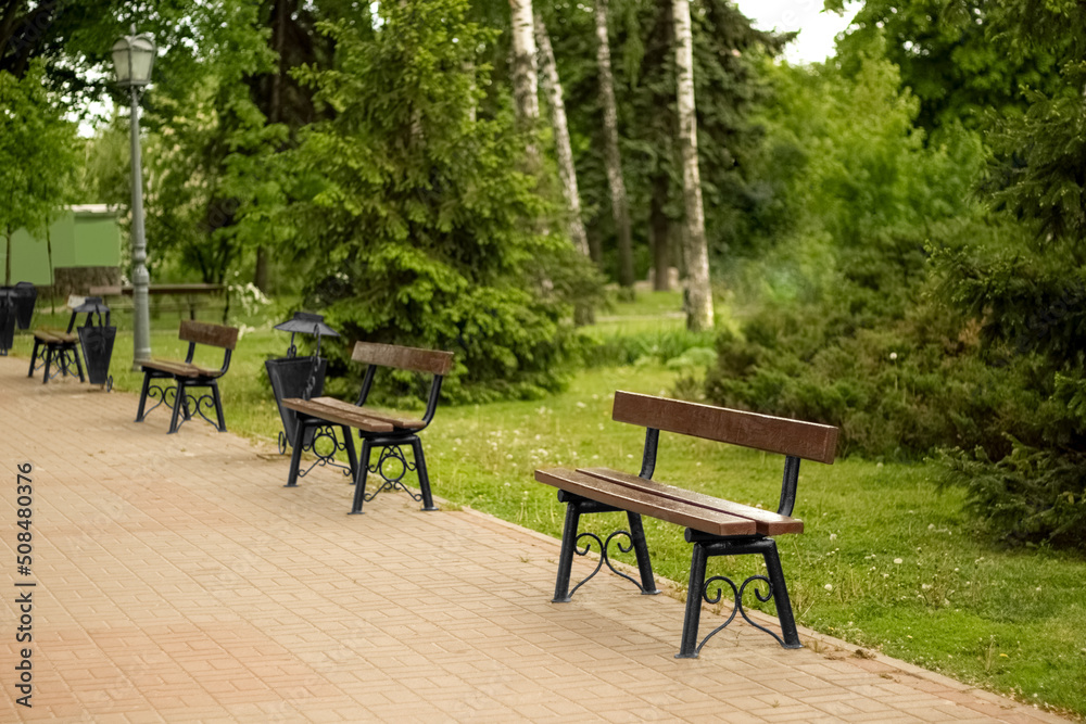 Stylish benches in summer park