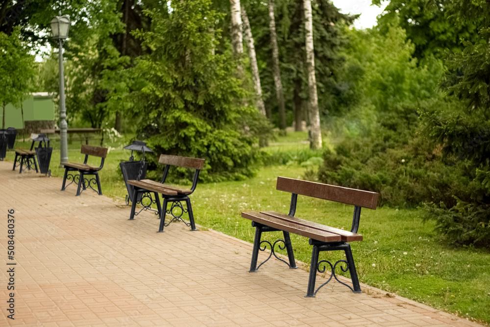 Stylish benches in summer park Stylish benches in summer park