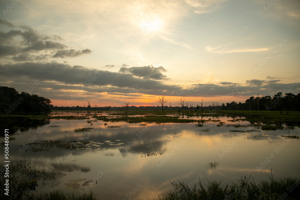Fototapeta premium Incrivel pôr do sol em um pantano rodeado de arvores