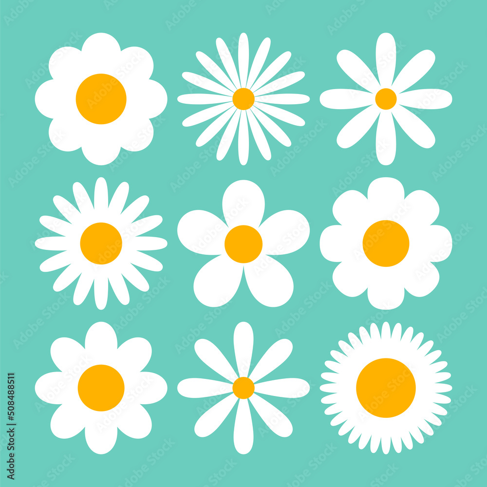 Fototapeta premium Various white daises on blue background cartoon illustration set. Camomiles or chamomiles with different petals. Seamless floral pattern. Blossom, spring flowers, summer concept