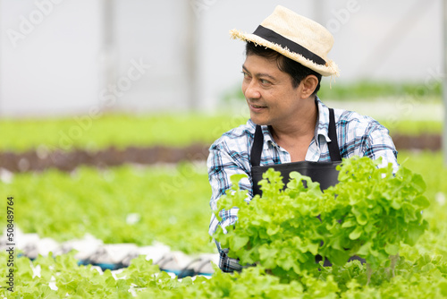 senior farmer smiling and holding organic vegetables in hydroponic farm