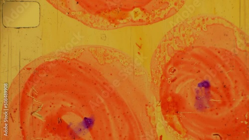 16mm abstract colorized animated film