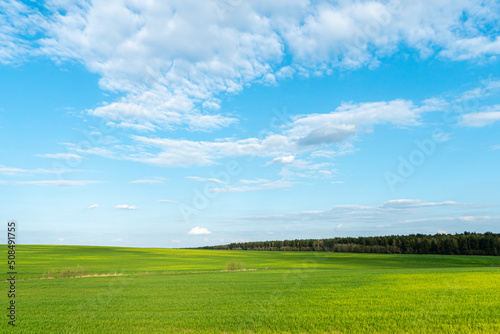 Beautiful field and forest on a background of clouds on a sunny summer day. Nature landscape. Harvesting and preparing the field for sowing seeds. © Pokoman