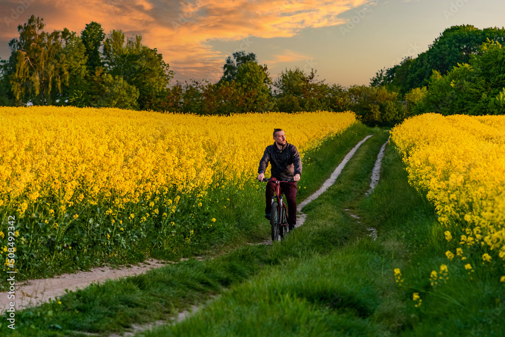 man rides a bike through the countryside. Road through the yellow field