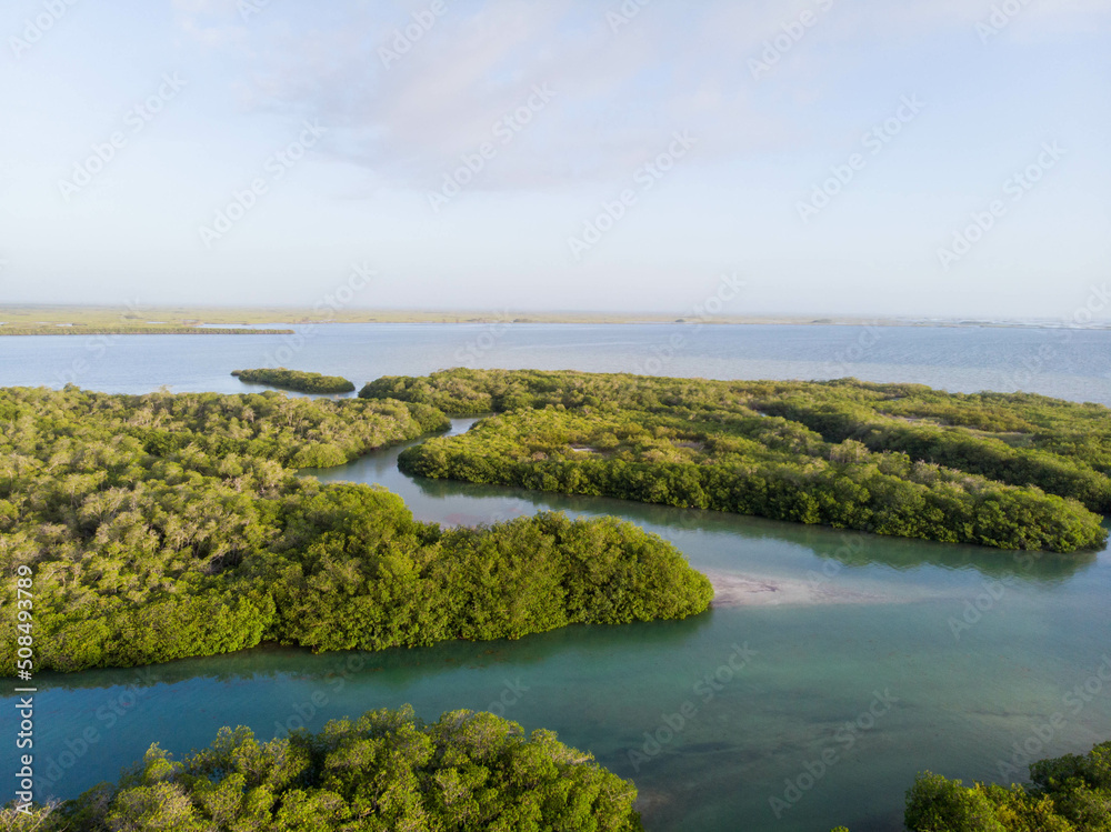 Natural channel through the tropical mangrove forest and lagoon in sian Kaan national park near Tulum