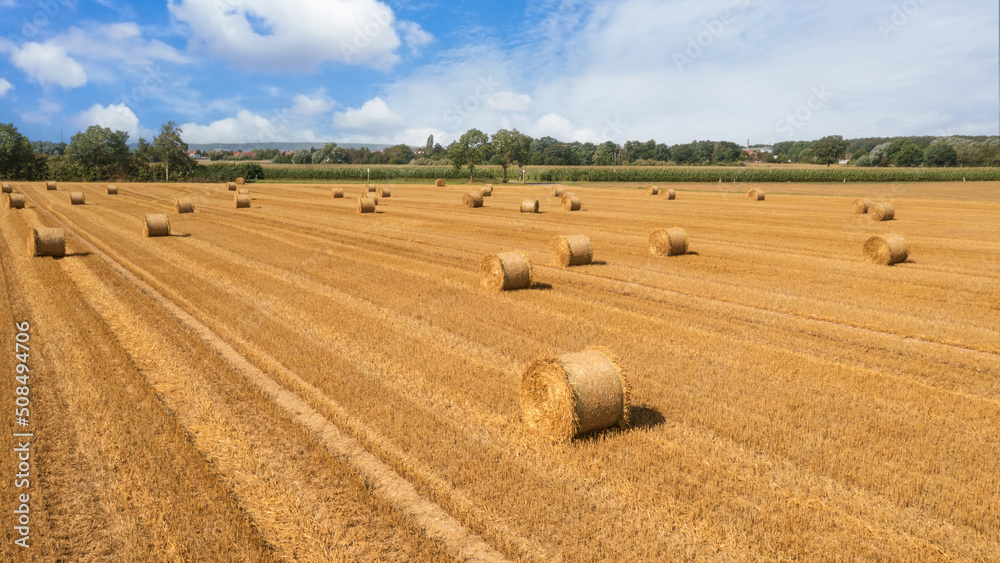 A farm field after harvest with haystacks on a sunny august day. Panoramic aerial drone view with copy space.