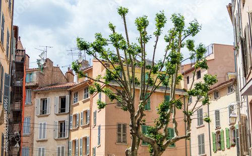 Fototapeta Naklejka Na Ścianę i Meble -  Arbre et maisons colorées dans le centre de Toulon