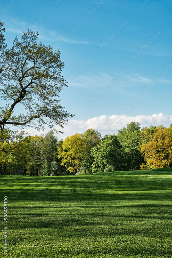 Spring park, freshly cut lawn, vertical frame, background or wallpaper idea. Spring park, freshly cut lawn, vertical frame, background or wallpaper idea.