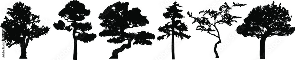 Vector silhouette of trees. Isolated eps 10.