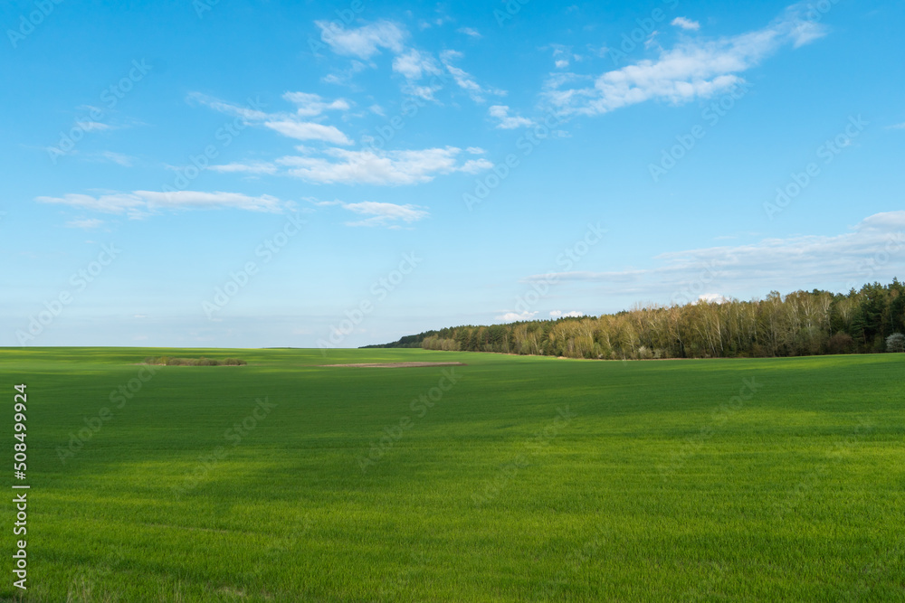 Agro-industrial complex for the cultivation of cereals, wheat, rye, corn and barley. The use of low-quality and non-natural fertilizers for the sowing campaign. Poor harvest and the threat of famine.