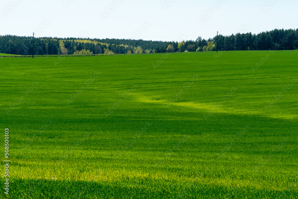Agro-industrial complex for the cultivation of cereals, wheat, rye, corn and barley. The use of low-quality and non-natural fertilizers for the sowing campaign. Poor harvest and the threat of famine.