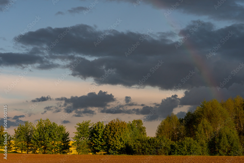 Obraz premium A multicolored rainbow over a plowed agricultural field during the rain. Beautiful spring natural landscape. Beautiful nature of Belarus.