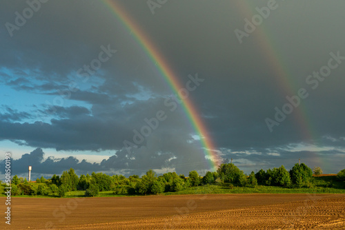 A multicolored rainbow over a plowed agricultural field during the rain. Beautiful spring natural landscape. Beautiful nature of Belarus.