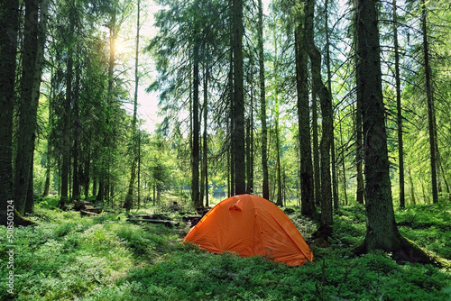 tourist tent in forest, natural background. Summer active holidays. freedom adventure, privacy, unity with wild nature, tourism and travel concept. Camping place