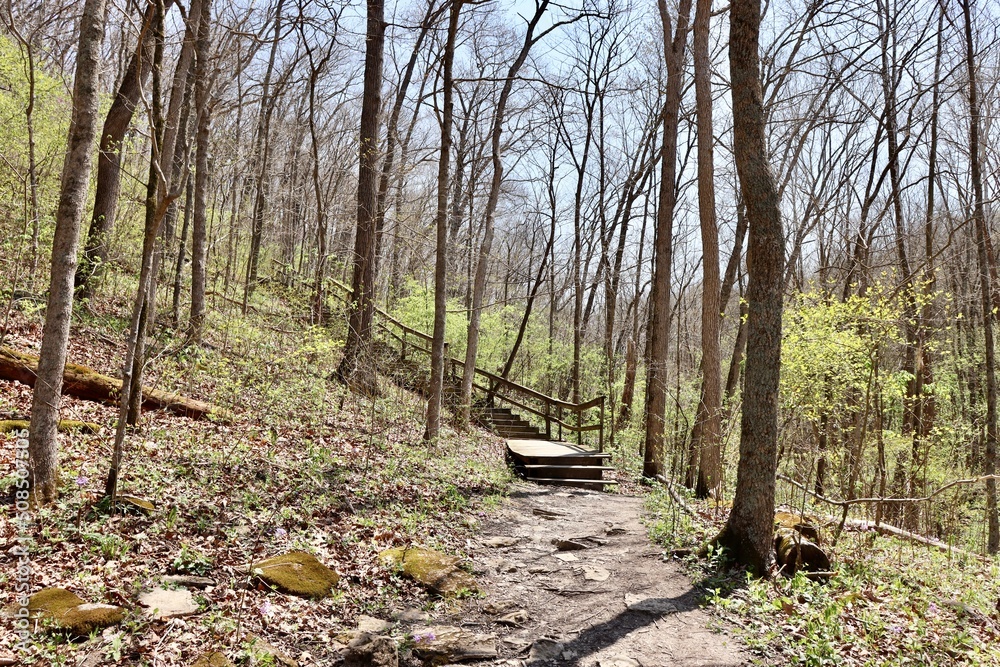 The trail to the old wood steps in the forest. The trail to the old wood steps in the forest.