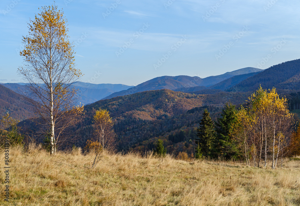 Autumn morning Carpathian Mountains calm picturesque scene, Ukraine. Peaceful traveling, seasonal, nature and countryside beauty concept scene.