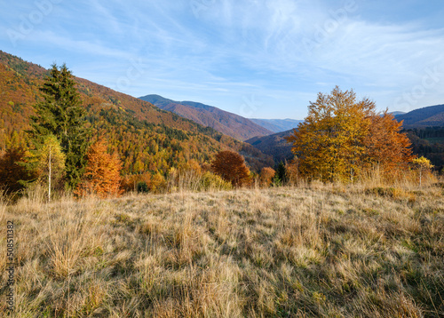 Autumn morning Carpathian Mountains calm picturesque scene, Ukraine. Peaceful traveling, seasonal, nature and countryside beauty concept scene.