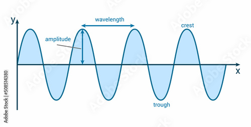 Label the parts of a transverse wave. Crest, trough, wavelength and amplitude of the wave. The anatomy of a wave vector illustration isolated on white background