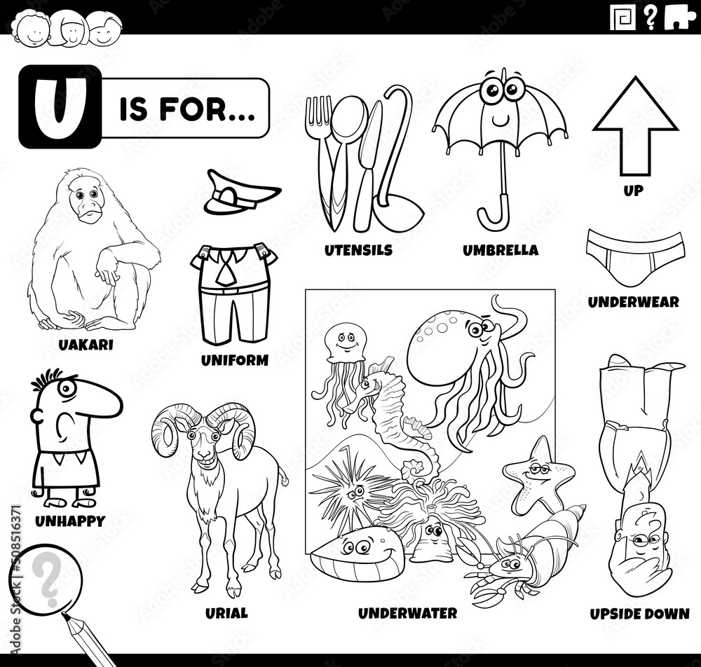 Obraz premium letter u words educational set coloring book page