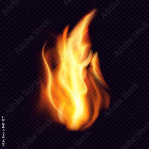 Fire PNG. Realistic Fire flame with transparent background. Burning red wildfire flame, blazing fiery spurts of flame, burn bonfire silhouette