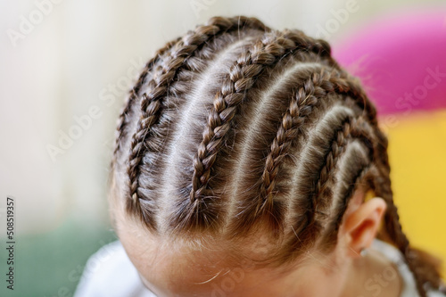 Girl with many small braids. Texture of plaits. Close-up, selective focus