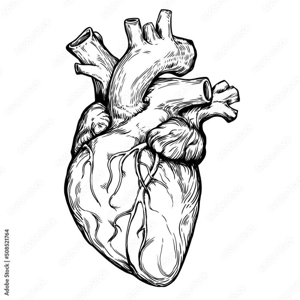 Vetor de Realistic vector graphic engraving vintage style black heart