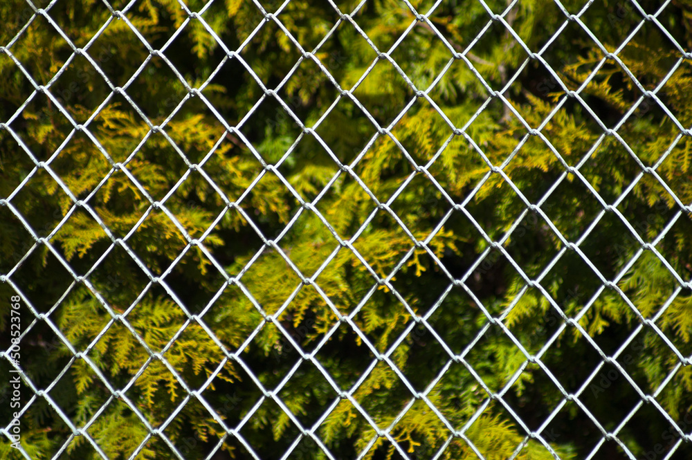 Fototapeta premium metal mesh,in the photo a mesh on a green background