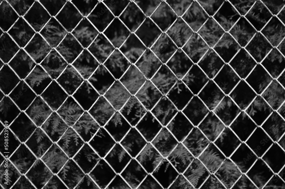 Fototapeta premium metal mesh,in the photo a mesh on a gray background