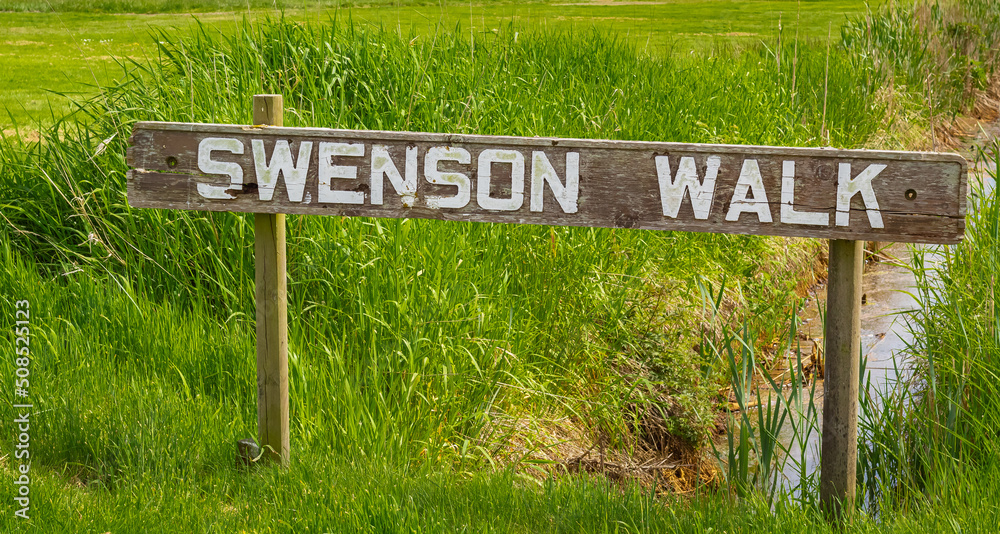 Wooden handmade sign in summer forest, park in Canada. Swenson Walk Park in British Columbia