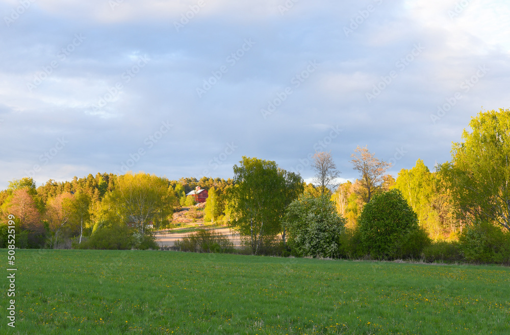 Landscape in the countryside in spring