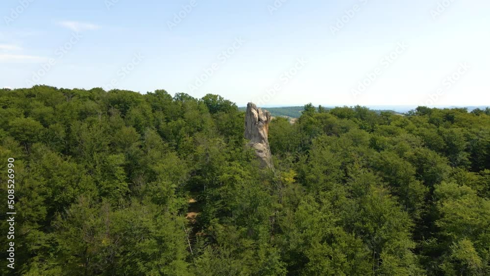 Aerial view of dense green forest on mountain hills. Beautiful scenery of wild woodland