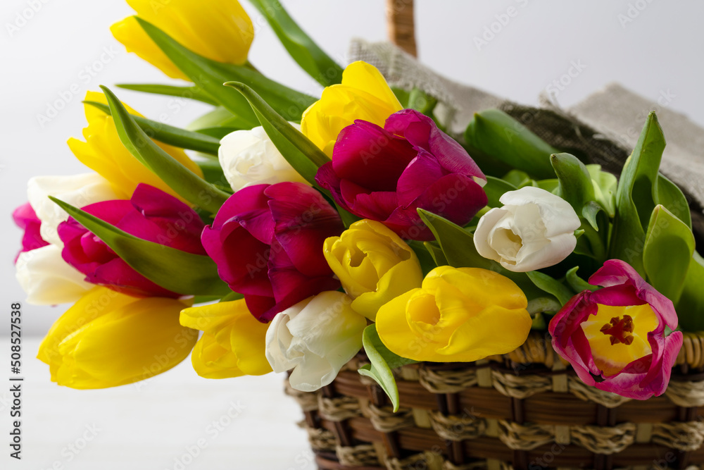 Obraz premium Basket with a bouquet of colored tulips on a white background