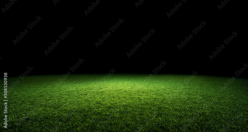 Green lawn illuminated by light and black background.
