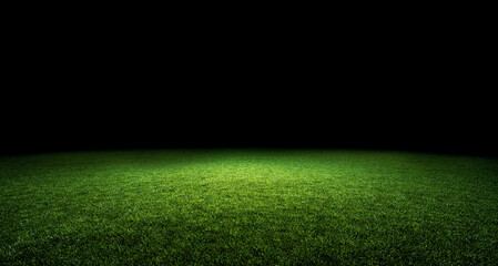 Green lawn illuminated by light and black background.