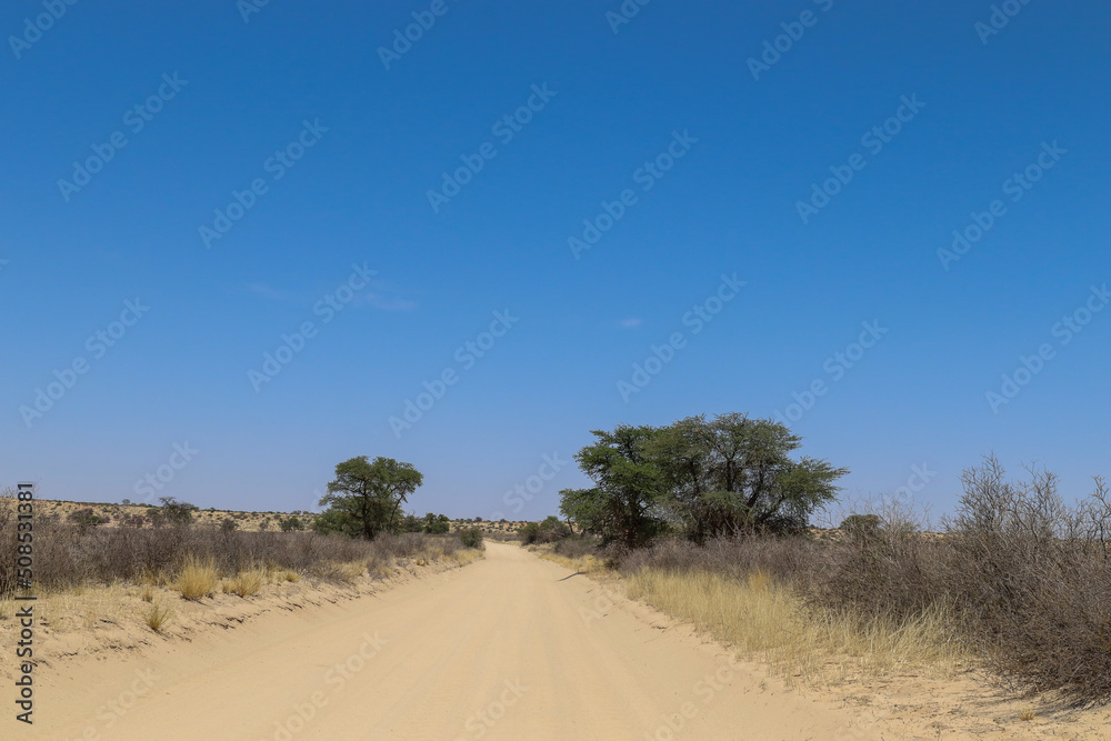 Open dirt road in the Kgalagadi, South Africa Open dirt road in the Kgalagadi, South Africa