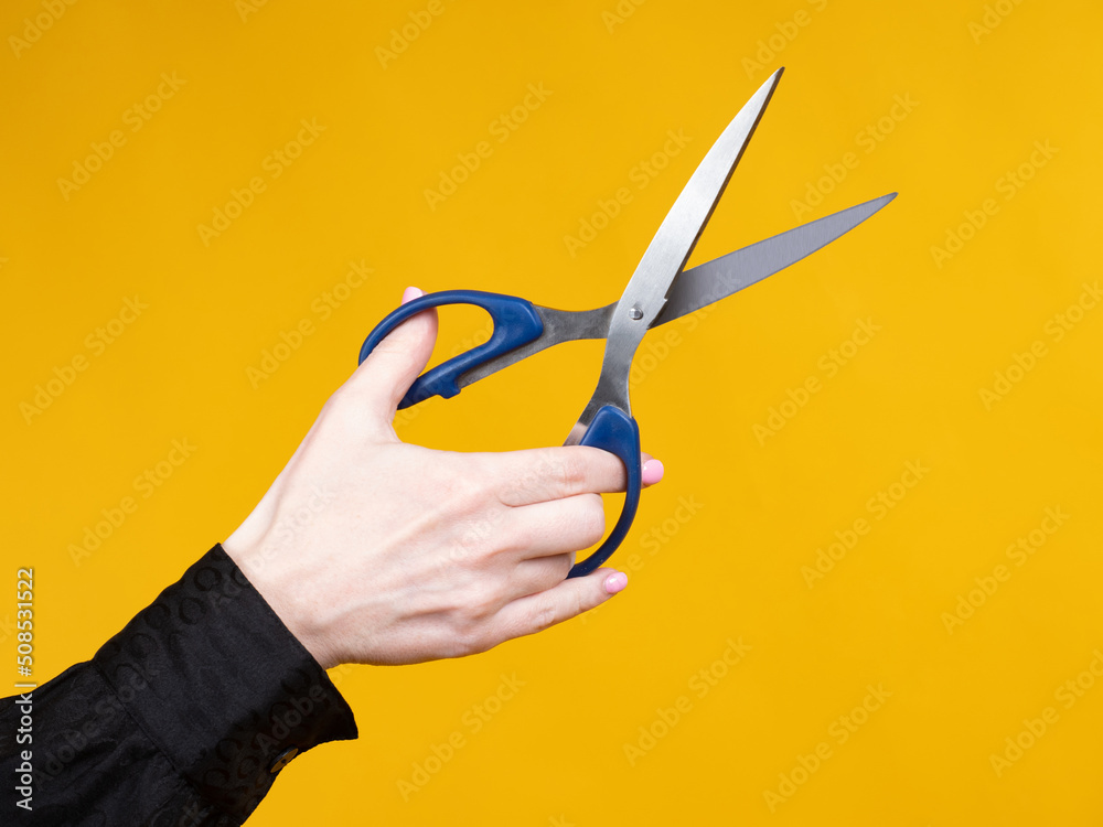 Cutting Scissors, Stationery, Shears
