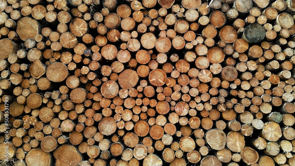 stack of wood texture