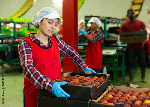 Woman in uniform carry crates with ripe peaches at the warehouse
