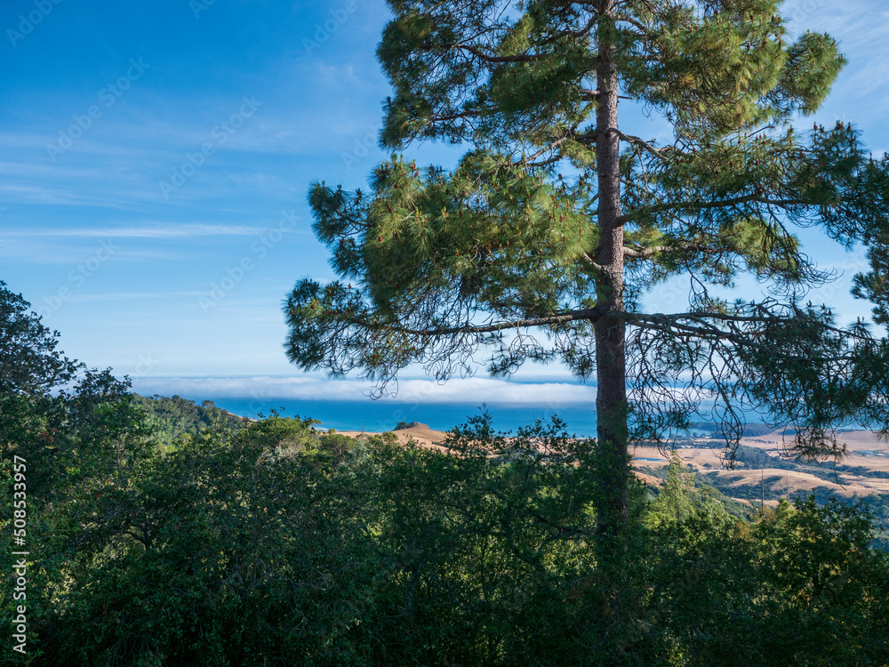 View of California Coastline from San Simeon View of California Coastline from San Simeon