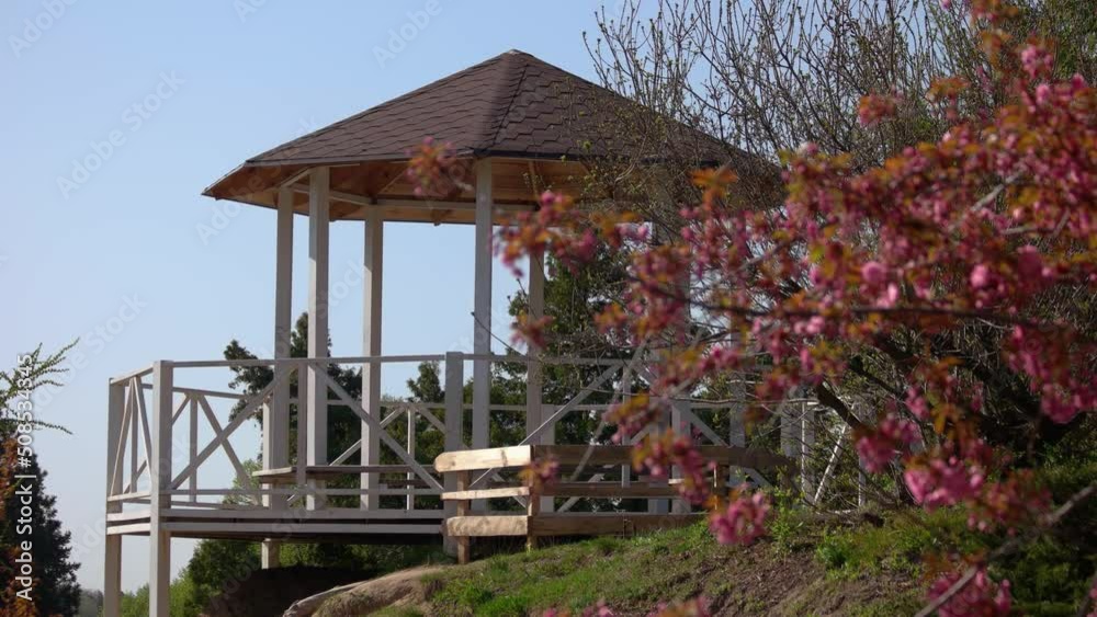 Beautiful white summer house on the background of blue sky. Tree branch with blooming pink flowers in the garden.