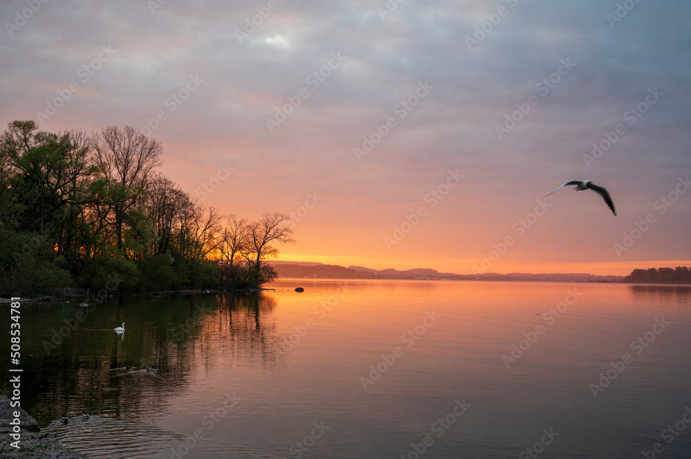 Sunset by the lake with birds.