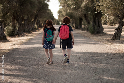 dos hermanos de la mano de vuelta al colegio con mochilas a través de un campo de olivos photo