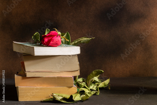 Collection of gift books with a red flower and dried leaves. Love poetry backgrounds concept