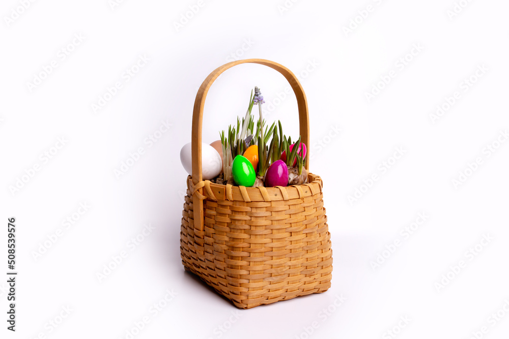 wicker basket with colorful easter eggs and spring flowers on a white background, christian holiday, tradition, gift, isolate, place for text, religion, first sprouts wicker basket with colorful easter eggs and spring flowers on a white background, christian holiday, tradition, gift, isolate, place for text, religion, first sprouts