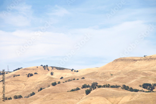 Rolling hills with desert brush in green, covered in drought parched brown grass. Blue sky with clouds.