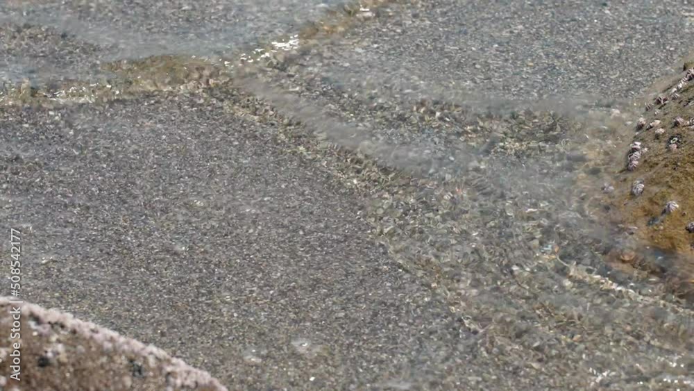 フジツボの岩に打ち付ける波