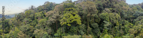 Beautiful panorama of a tropical forest - a nature background showing the Amazon rainforest