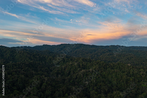Stunning aerial view of a tropical forest with a beautiful and colored cloudscape due to the sunset - Nature background of a forest