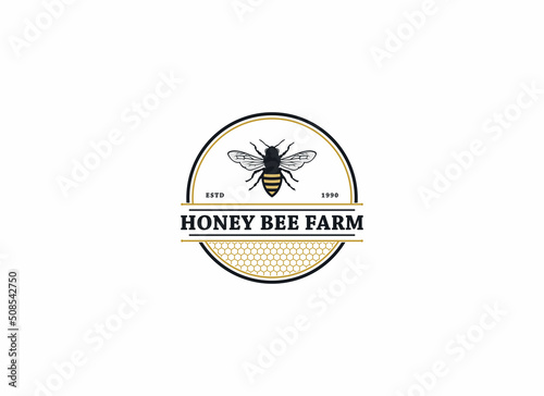 honey bee logo template vector in white background